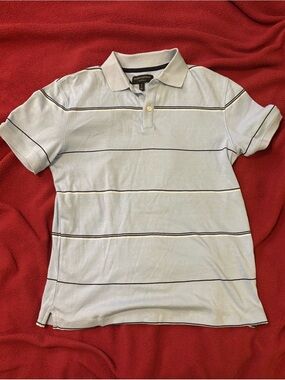 Banana Republic Light Blue Striped Polo Shirt